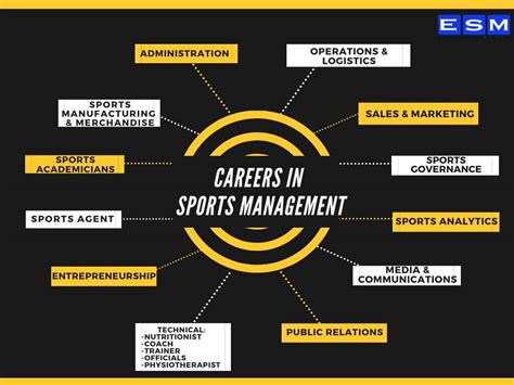 common jobs for a sports management major